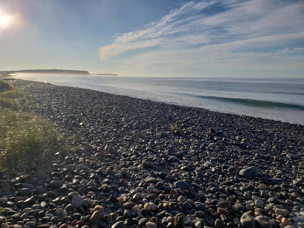 Nova Scotia Beach by Liz Cummings